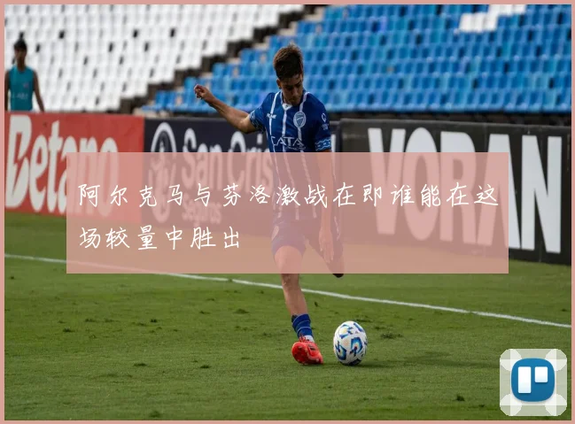 阿尔克马与芬洛激战在即谁能在这场较量中胜出