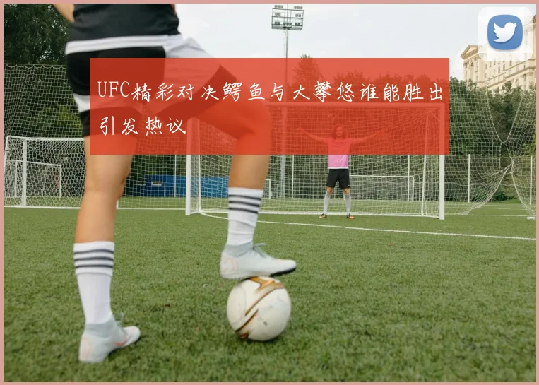 UFC精彩对决鳄鱼与大攀悠谁能胜出引发热议