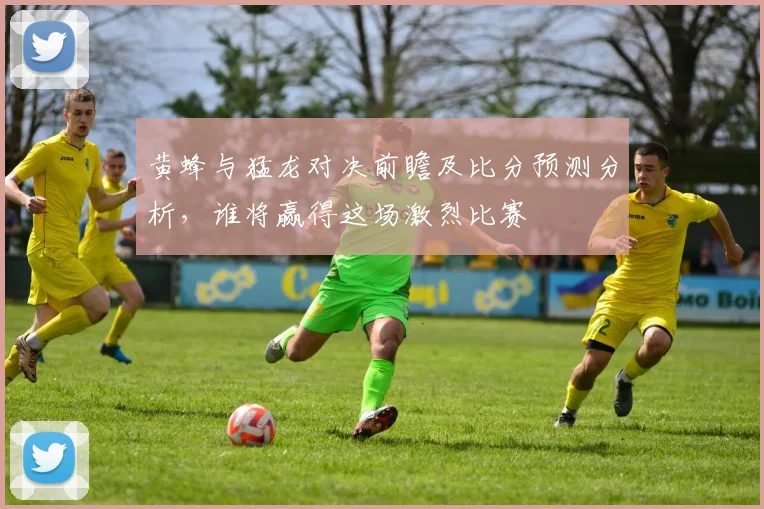 黄蜂与猛龙对决前瞻及比分预测分析，谁将赢得这场激烈比赛