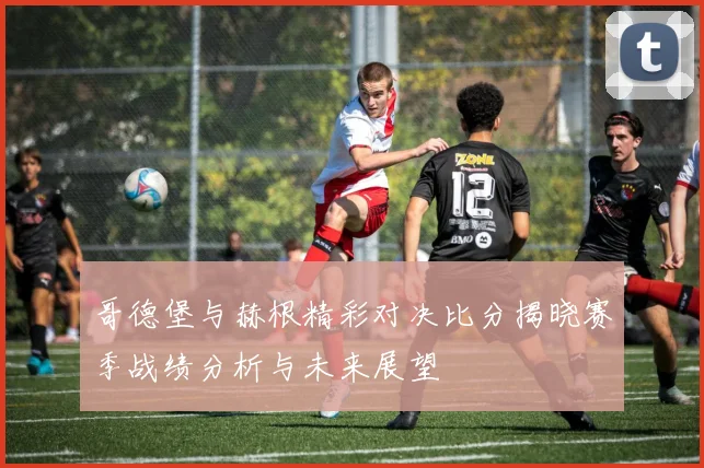 哥德堡与赫根精彩对决比分揭晓赛季战绩分析与未来展望