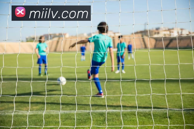 App Interface Preview